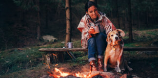 Os cães nunca deixam de amar: ele tinha câncer… ela também…