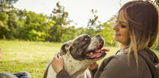 Conexão emocional: 5 dicas para reforçar o afeto do seu cão.