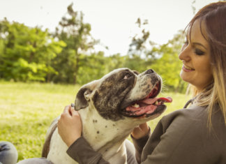 Conexão emocional: 5 dicas para reforçar o afeto do seu cão.