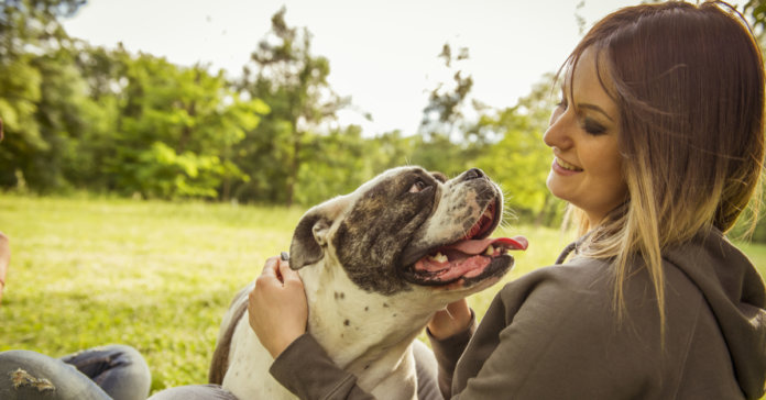 Conexão emocional: 5 dicas para reforçar o afeto do seu cão.