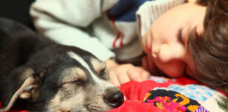 A pior maldade com o mundo é se habituar a um mundo maldoso.