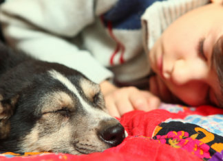 A pior maldade com o mundo é se habituar a um mundo maldoso.