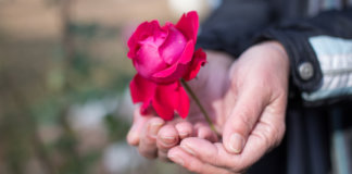 As mãos da minha mãe