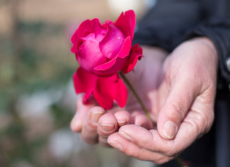 As mãos da minha mãe