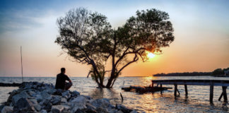 Às vezes, teremos que atravessar o luto por alguém que ainda está vivo Às vezes, teremos que atravessar o luto por alguém que ainda está vivo