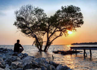 Às vezes, teremos que atravessar o luto por alguém que ainda está vivo