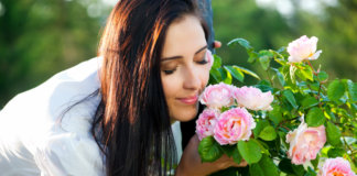 A felicidade na vitrine A felicidade na vitrine