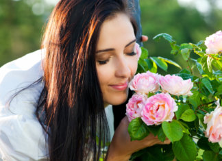 A felicidade na vitrine