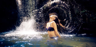 Liberdade caça jeito