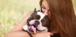 Os signos dos cães: conheça melhor seu cão através da astrologia canina.