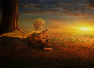 12 curiosidades que você não sabia sobre o Pequeno Príncipe