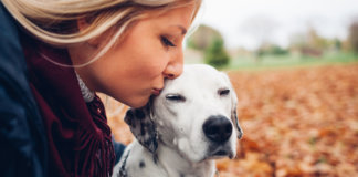 Os cães falam, você consegue interpretar?