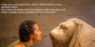 A Lei do Antagonista