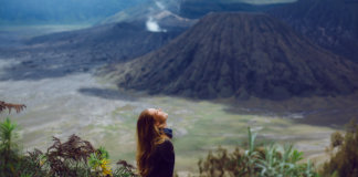 Você colhe o que ama