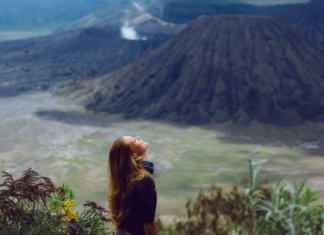Você colhe o que ama