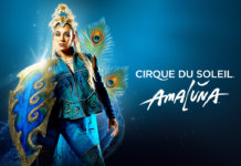 Cirque du Soleil no Brasil- Amaluna: um espetáculo que nos transforma Cirque du Soleil no Brasil- Amaluna: um espetáculo que nos transforma