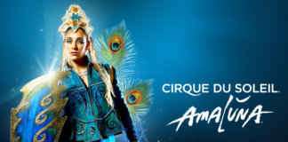 Cirque du Soleil no Brasil- Amaluna: um espetáculo que nos transforma