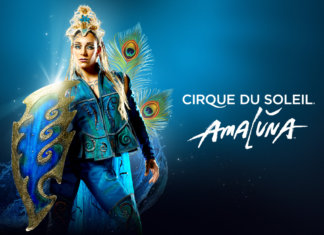 Cirque du Soleil no Brasil- Amaluna: um espetáculo que nos transforma