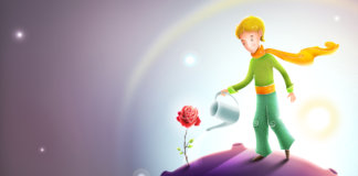 A felicidade está no quintal de cada um! A felicidade está no quintal de cada um!