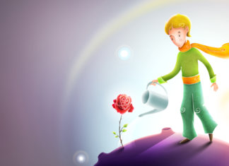 A felicidade está no quintal de cada um!