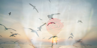 Gentileza gera gentileza… E bons relacionamentos.