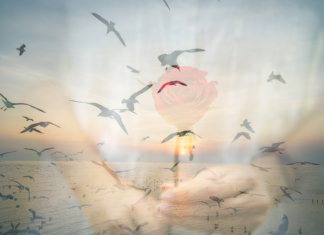 Gentileza gera gentileza… E bons relacionamentos.