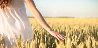 A terra arada e a alma machucada possuem fertilidade para novas sementes