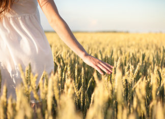 A terra arada e a alma machucada possuem fertilidade para novas sementes