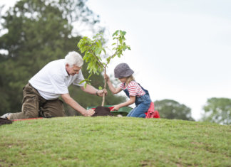 Sobre a importância de confiar