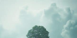 13 características das pessoas resilientes