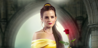 Os espinhos, assim como as flores, fazem parte do processo Os espinhos, assim como as flores, fazem parte do processo