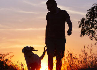 Homens levam seus cães para passear, ou são levados pelos cães?