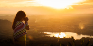 Fim de ano: feche este ciclo e prepare-se para as novidades do próximo. Fim de ano: feche este ciclo e prepare-se para as novidades do próximo.