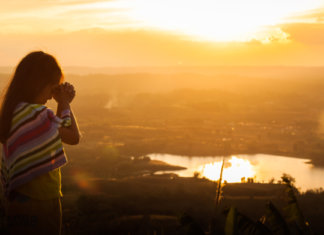 Fim de ano: feche este ciclo e prepare-se para as novidades do próximo.