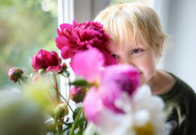 Mutismo seletivo: não basta diagnosticar, é preciso saber acompanhar Mutismo seletivo: não basta diagnosticar, é preciso saber acompanhar