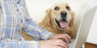 Se o seu cão pudesse, essa seria a carta que ele te entregaria. Leia com o coração.