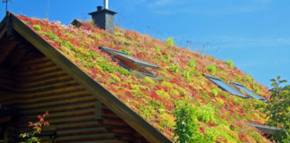 Prefeitura de Blumenau sanciona projeto “Telhado Verde”. Agora é lei!