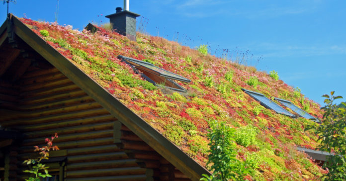 Prefeitura de Blumenau sanciona projeto “Telhado Verde”. Agora é lei!