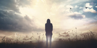 A capacidade de voar