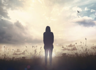 A capacidade de voar