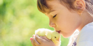 A doçura da generosidade