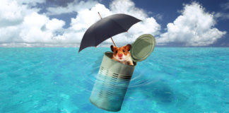 Jamais desista daquilo em que você acredita