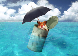 Jamais desista daquilo em que você acredita