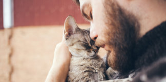 A ciência prova: gatos são terapeutas holíticos e reduzem riscos de ataques cardíacos