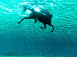 23 fotos alucinantes que beiram o inacreditável