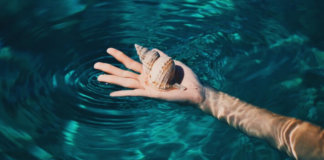 O mar: uma droga gratuita que cura pelo menos 16 doenças