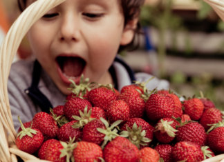 A parábola dos morangos