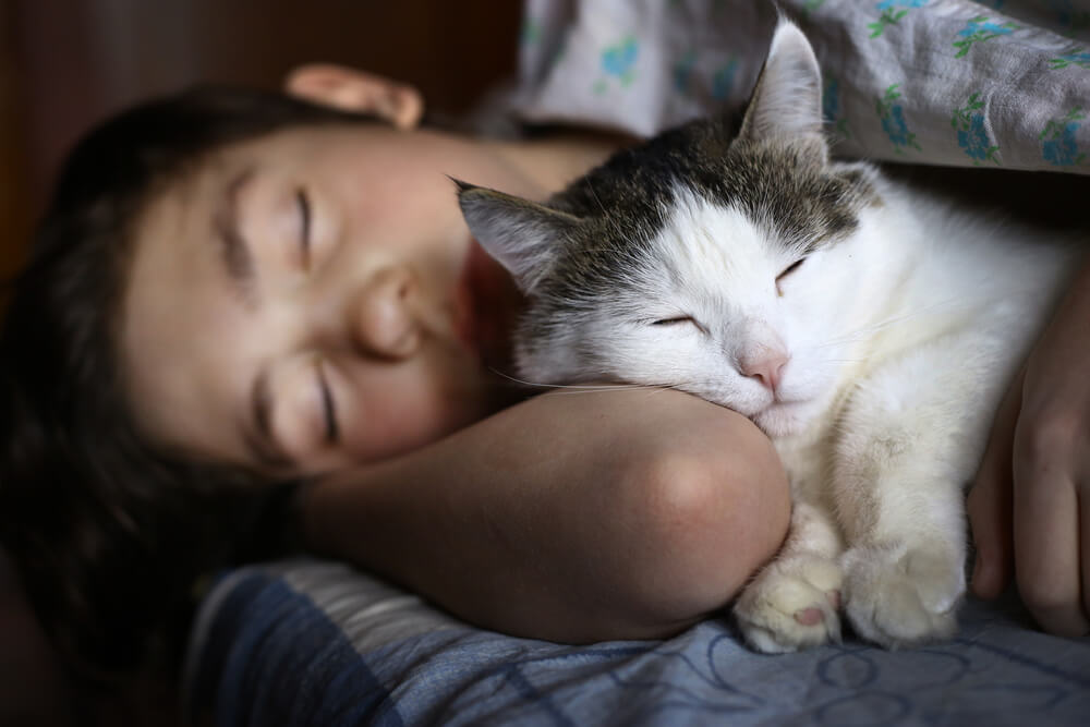 contioutra.com - 7 benefícios de compartilhar sua cama com o seu animal de estimação
