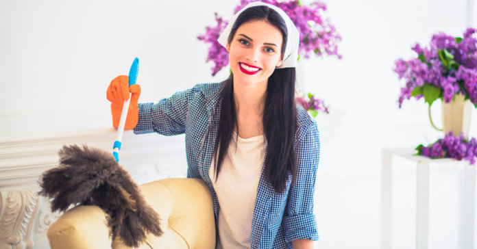 shutterstock_657422923 Lembranças de um espanador