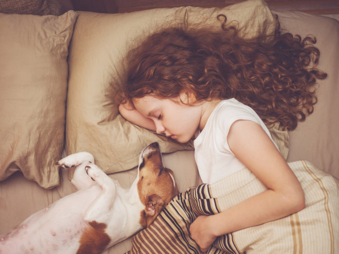 7 benefícios de compartilhar sua cama com o seu animal de estimação